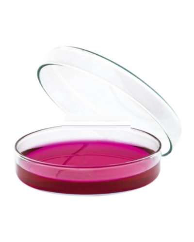 Đĩa petri thủy tinh Isolab