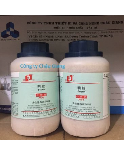  Gelatin 