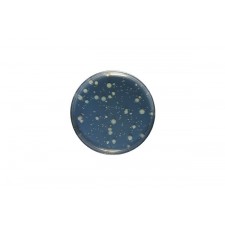 Yeast Extract agar acc. ISO 6222 GranuCult™