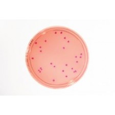 VRBD Agar - LI 30ml