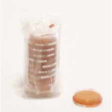 Sab-Gluc-Cont. A +LTHTh-ICR+