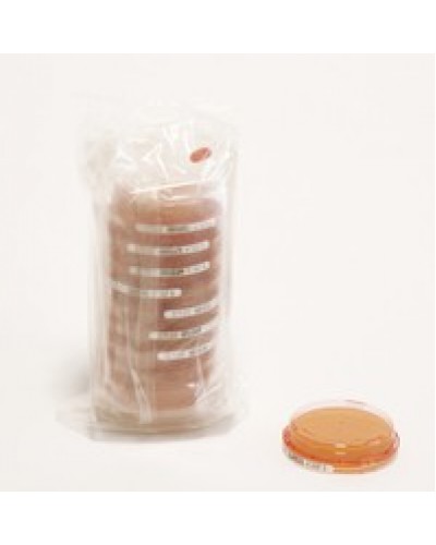 Sab-Gluc-Cont. A +LTHTh-ICR+