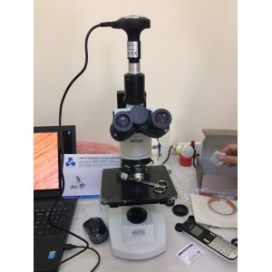 Kính hiển vi kim tương Kruss MBL 3300