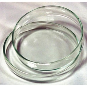 Hộp lồng petri fi 15