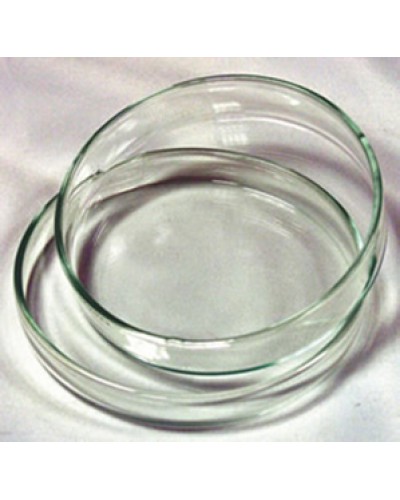 Hộp lồng petri fi 12