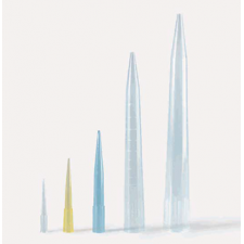 Đầu tip micropipet (Isolab)