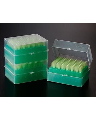 Đầu côn xanh dùng cho micropipet